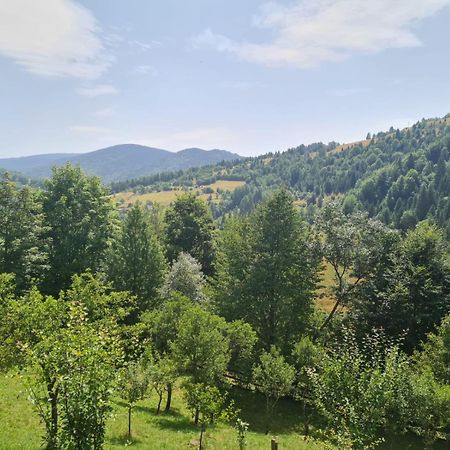 Apuseni Holidays Rachitele Exterior foto