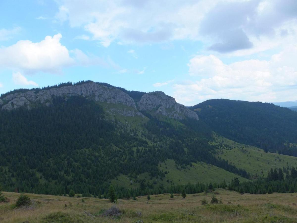 Apuseni Holidays Rachitele Exterior foto